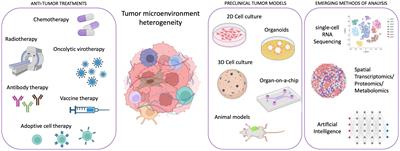 Editorial: Preclinical models and emerging technologies to study the effects of the tumor microenvironment on cancer heterogeneity and drug resistance